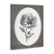 Stupell Industries Anemone Sprig Vignette Canvas By Lettered and Lined
